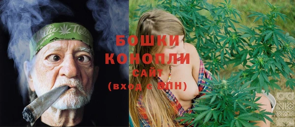 твердый Горнозаводск