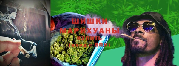 прущие крисы Горняк