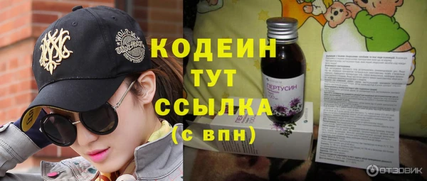прущие крисы Горняк